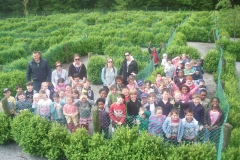 Group in Maze