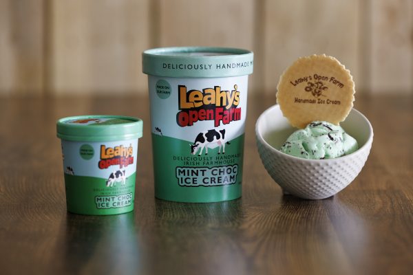 Handmade Mint Chocolate Ice Cream