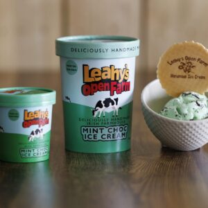 Handmade Mint Chocolate Ice Cream