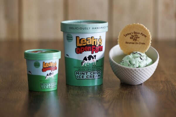 Handmade Mint Chocolate Ice Cream