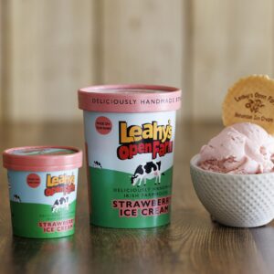 Handmade Strawberry Ice Cream