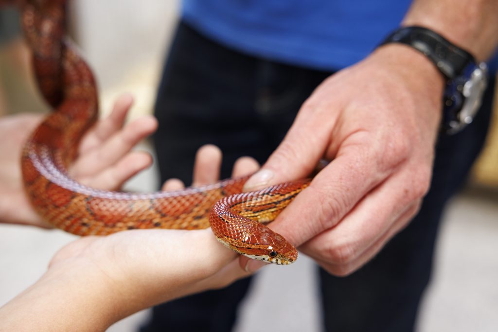 Leahy's Farm Playground July 25 18
