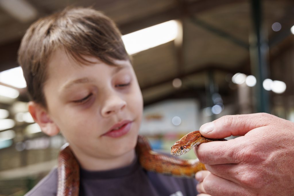 Leahy's Farm Playground July 25 19
