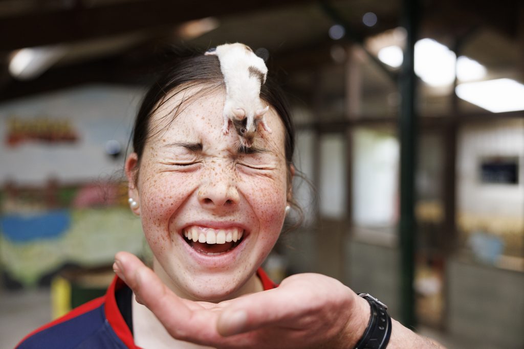 Leahy's Farm Playground July 25 24