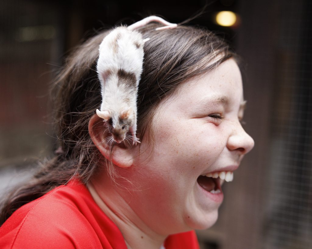 Leahy's Farm Playground July 25 28