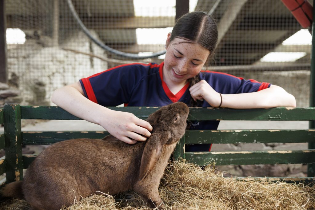 Leahy's Farm Playground July 25 30