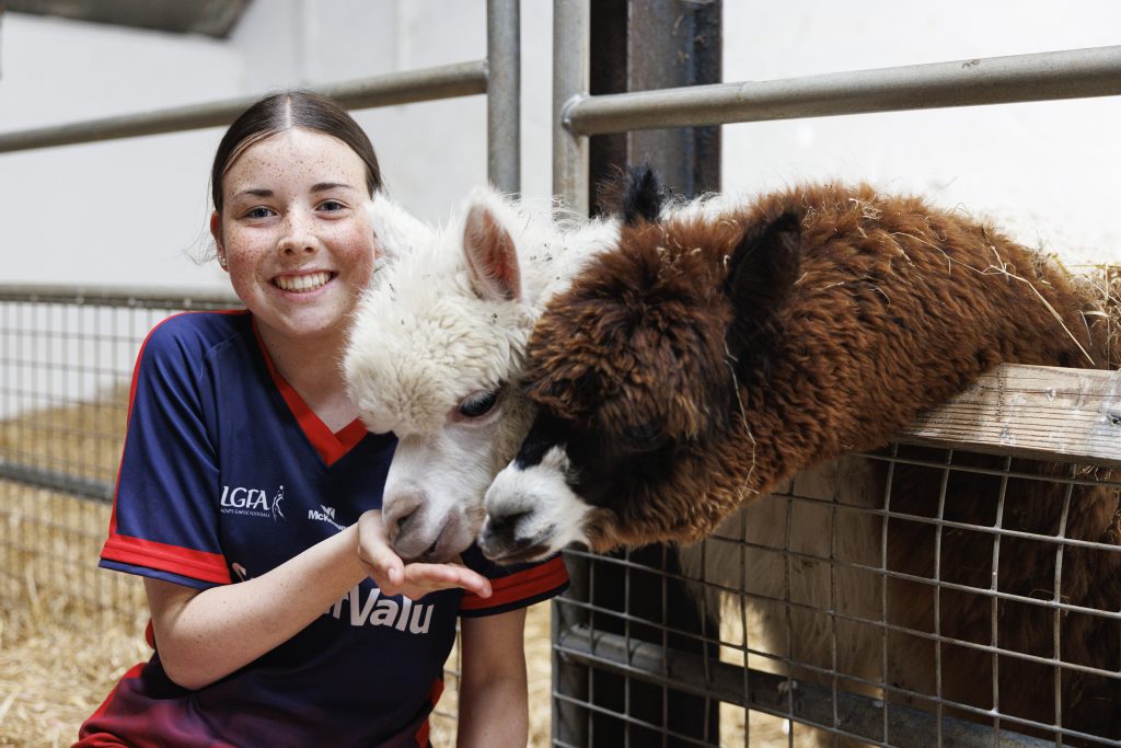 Leahy's Farm Playground July 25 31