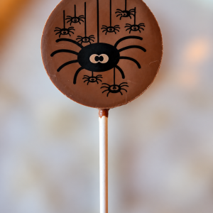 Spider Milk Chocolate Lollipop